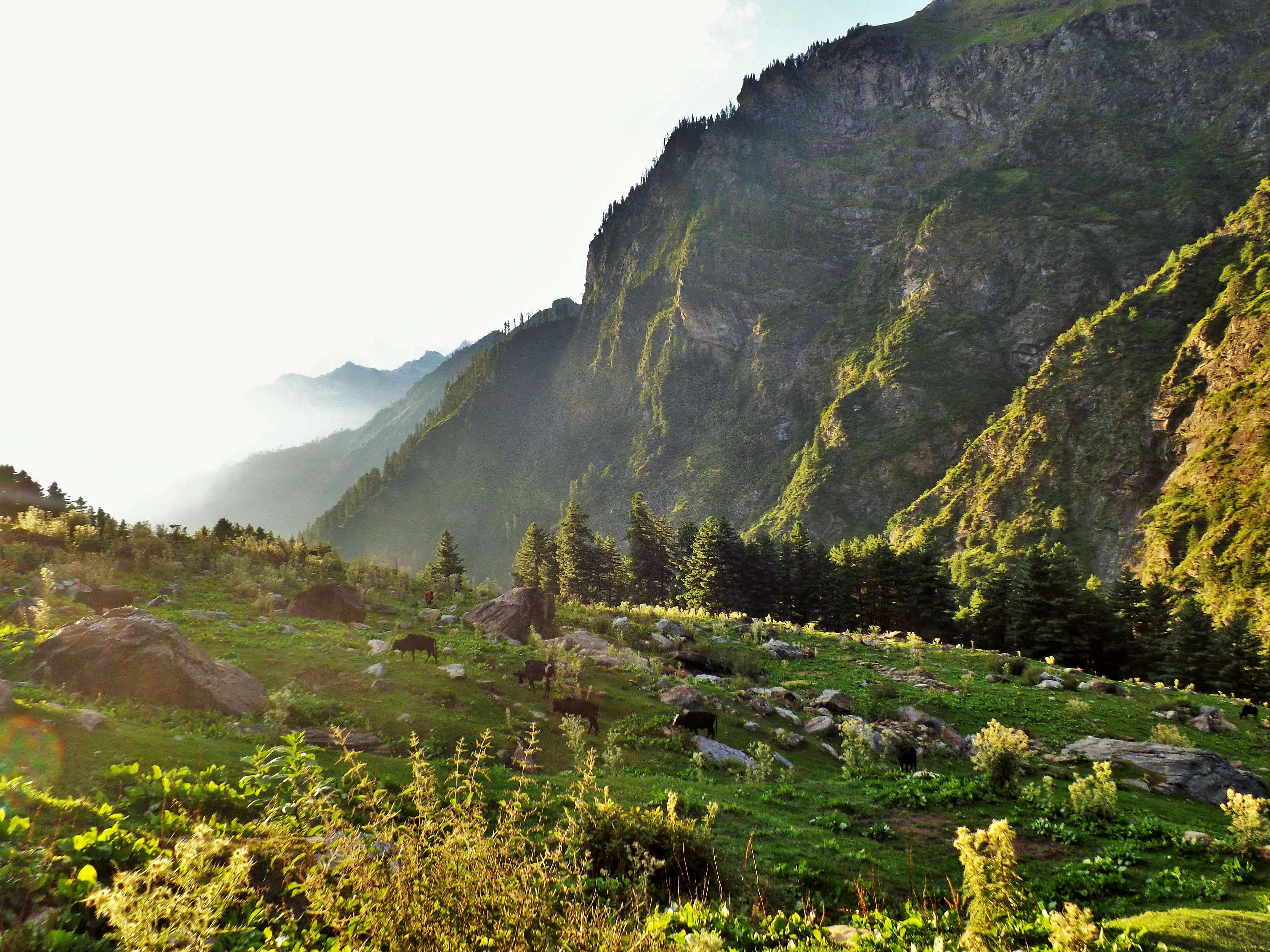 kasol to malana trek