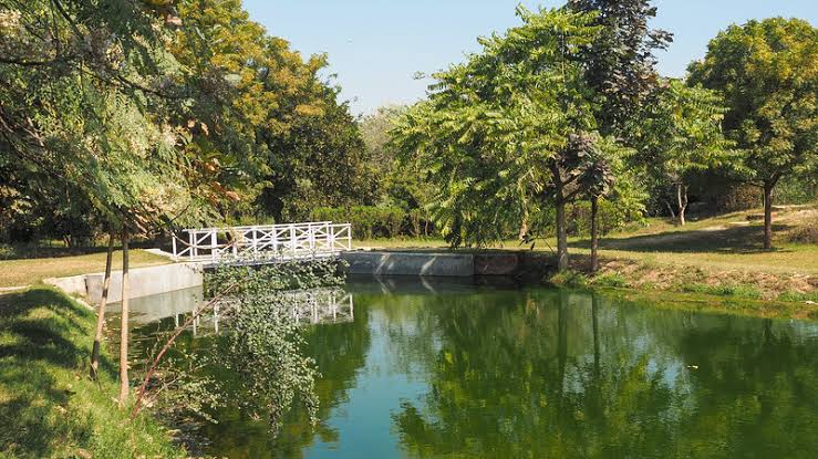 Taj Nature Walk - Agra - Connecting Traveller