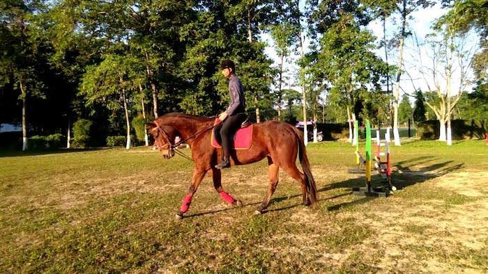 Horse Riding in Guwahati - Guwahati - Connecting Traveller