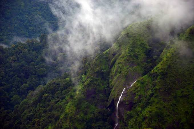 Ulipooni Wildlife Sanctuary - Vagamon - Connecting Traveller