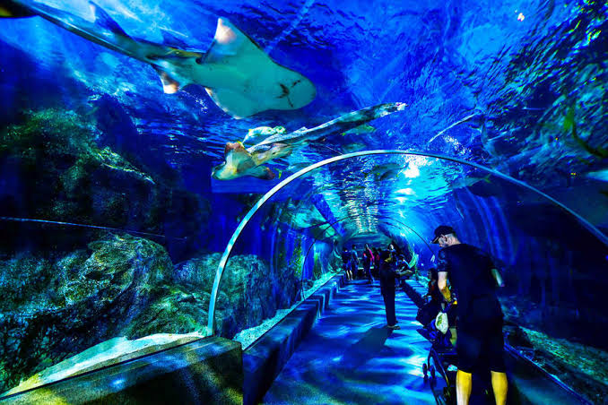 Sea Life Aquarium - Bangkok - Connecting Traveller