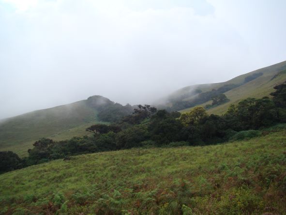 Brahmagiri Wildlife Sanctuary - Coorg - Connecting Traveller